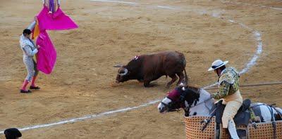 Corrida Concurso limpieza de corrales en Huesca Corrida Concurso limpieza de corrales en Huesca