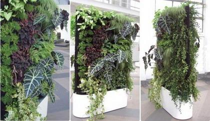 planta-vertical planta-vertical
