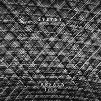 Tarfala Trio: SYZYGY (NoBusiness Records, 2011)