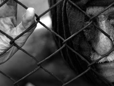 viejo en la carcel Jóven para trabajar pero viejo para ir a la cárcel