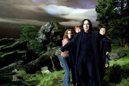 Harry Potter 4 Harry: un amigo que te quiere bien
