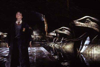 Harry Potter 2 Harry: un amigo que te quiere bien