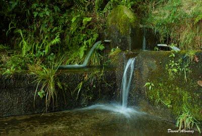 Agua y más agua Agua y más agua
