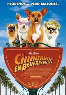 UN CHIHUAHUA EN BEVERLY HILLS