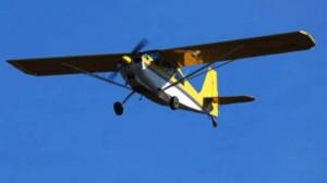 monomotor ¿Que Hacer con la ratas?