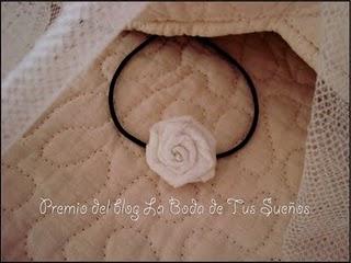 Premio del Sorteo 5.500 visitas Premio del Sorteo 5.500 visitas