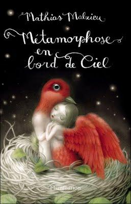 METAMORFOSIS EN EL CIELO