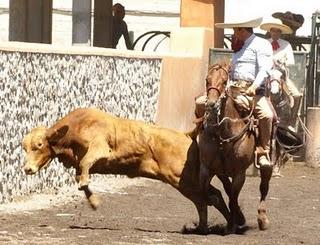 De Jueves a Domingo, Circuito Excelencia, en Aculco De Jueves a Domingo, Circuito Excelencia, en Aculco