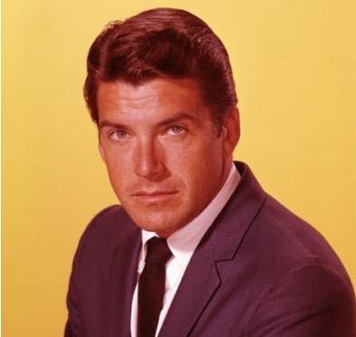 Beautiful Wonder Boys Retro: Van Williams (Parte II)