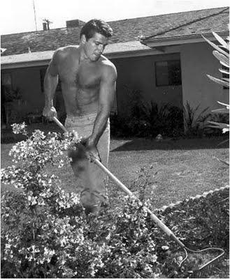 Beautiful Wonder Boys Retro: Van Williams (Parte II)