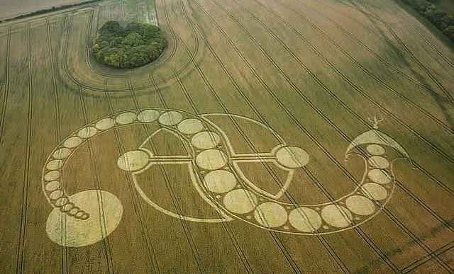 Curioso crop circle aparecido justo ayer con forma de una serpiente ¿Que nos quieren decir? ¿Una fecha de agosto tal vez?