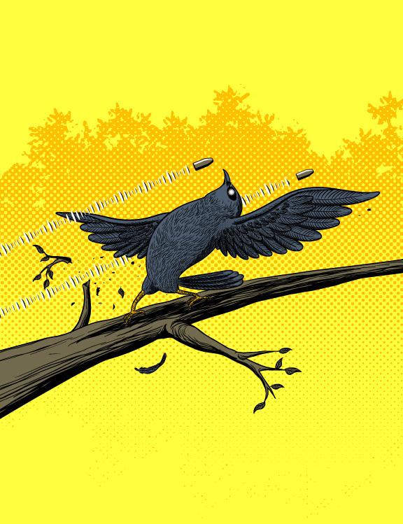 Excelentes Diseños de Remeras IV fm 365