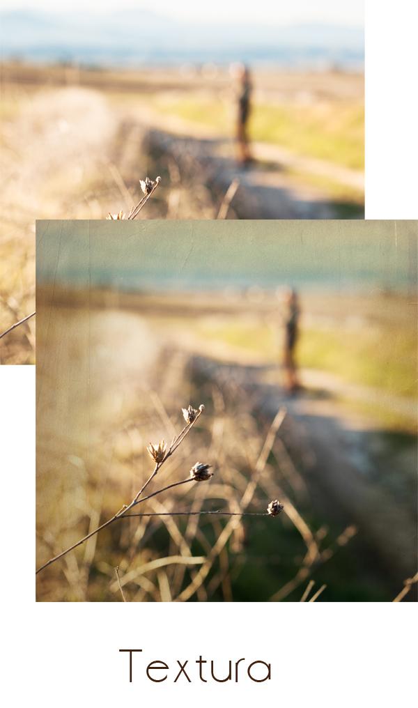 11 Magia a un par de clicks: Texturizando… que ya es hora