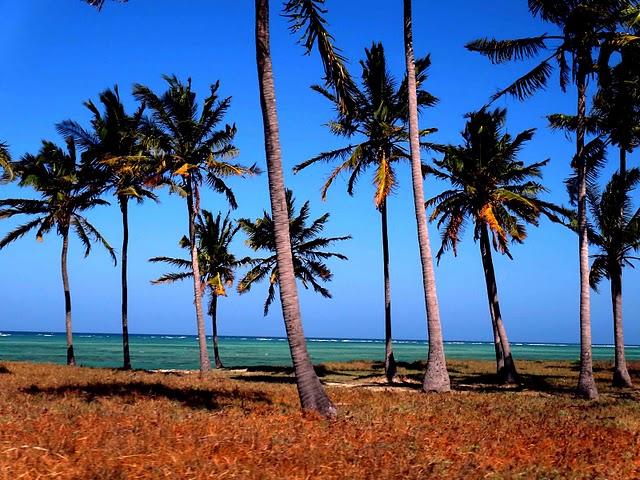 Playas y paisajes Playas y paisajes