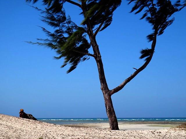 Playas y paisajes Playas y paisajes
