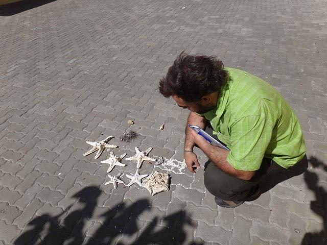 Playas y paisajes Playas y paisajes