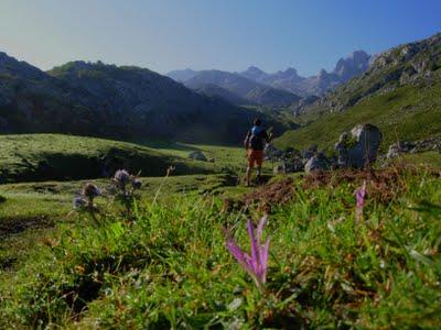 el requexón el requexón
