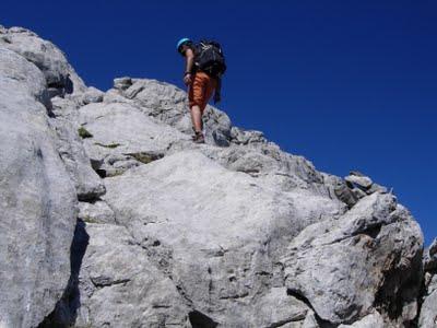 el requexón el requexón