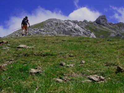 el requexón el requexón