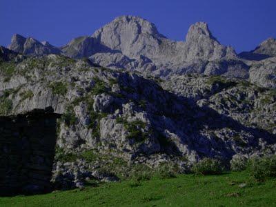 el requexón el requexón