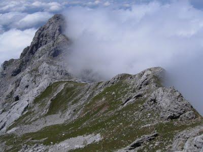 el requexón el requexón