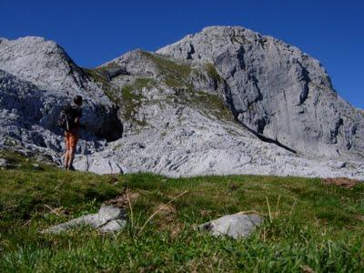 el requexón el requexón