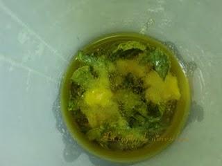 Ensalada de patata con aroma de hierbabuena Ensalada de patata con aroma de hierbabuena