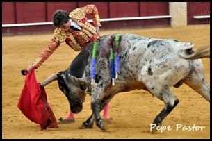 DSC_0263 DSC_0263