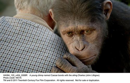 ‘El origen del planeta de los simios’ – Mucho antes de Charlton Heston rise-of-the-planet-of-the-apes-movie-image-02
