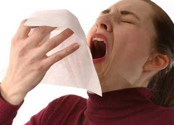Estornudar indica   excitación sexual