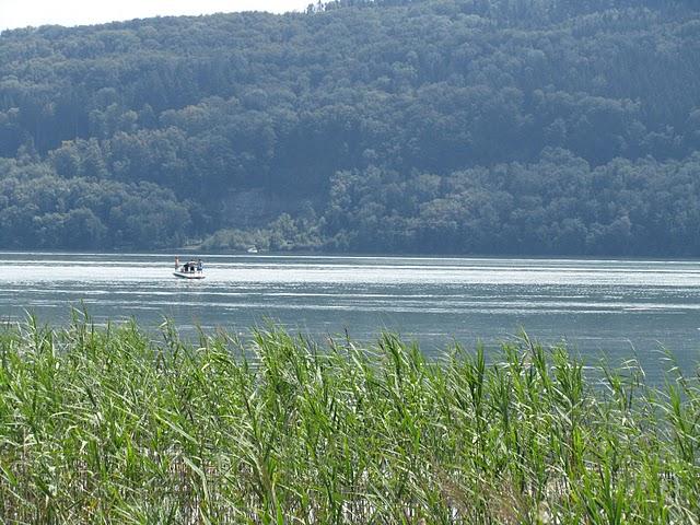 VISITANDO LA TORRE DE BOLLINGEN DE CARL G. JUNG VISITANDO LA TORRE DE BOLLINGEN DE CARL G. JUNG