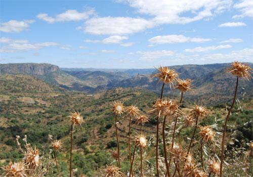 Sombrerería Albiñana