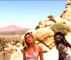 un arenero muy grande un arenero muy grande