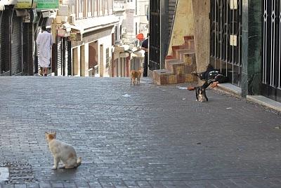 La separación, la diferencia y la cercanía; el contraste de una región, el de un pueblo y su historia. III La separación, la diferencia y la cercanía; el contraste de una región, el de un pueblo y su historia. III