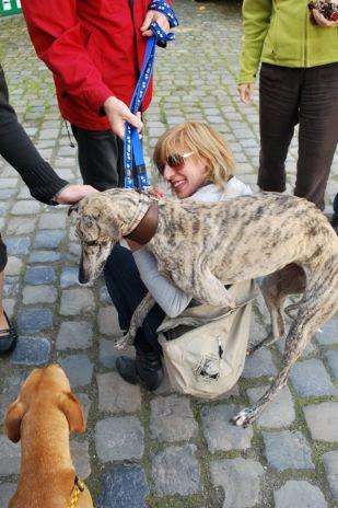 Algunos viejos conocidos, hoy adoptados en Bélgica ( I) Algunos viejos conocidos, hoy adoptados en Bélgica ( I)