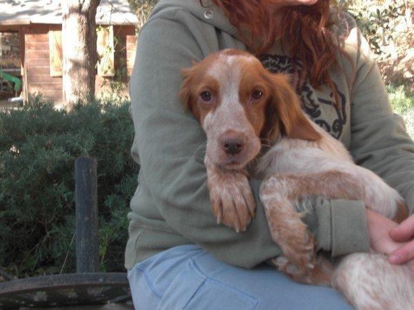 Algunos viejos conocidos, hoy adoptados en Bélgica ( I) Algunos viejos conocidos, hoy adoptados en Bélgica ( I)