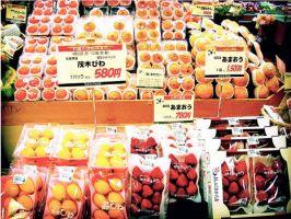 ¡Empaquetar naranjas es estúpido! ¡Empaquetar naranjas es estúpido!