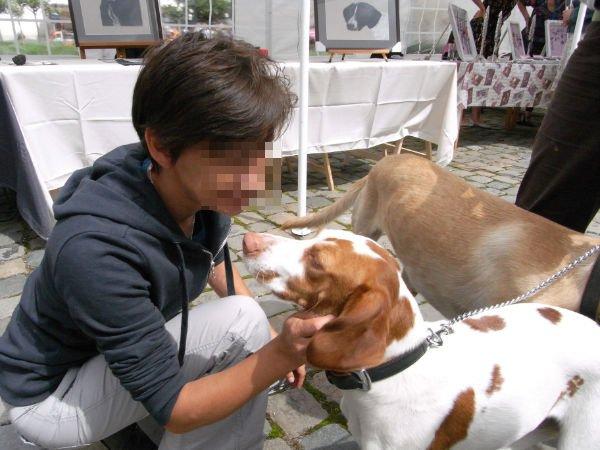 Viejos conocidos , hoy adoptados en Bélgica (III) Viejos conocidos , hoy adoptados en Bélgica (III)