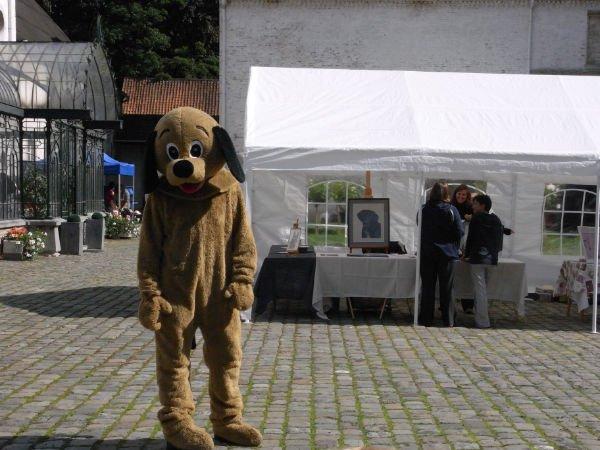 Viejos conocidos , hoy adoptados en Bélgica (III) Viejos conocidos , hoy adoptados en Bélgica (III)