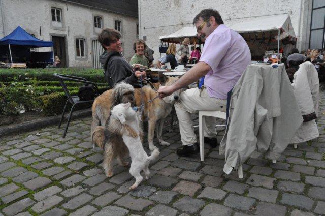 Viejos conocidos , hoy adoptados en Bélgica (III) Viejos conocidos , hoy adoptados en Bélgica (III)