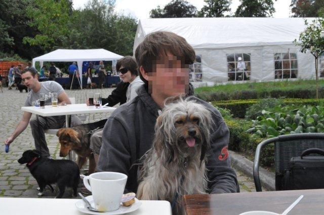 Viejos conocidos , hoy adoptados en Bélgica (III) Viejos conocidos , hoy adoptados en Bélgica (III)