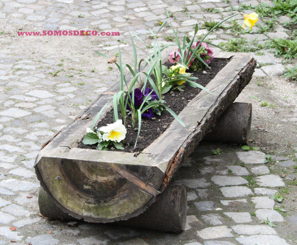 UNA JARDINERA RÚSTICA EN UN TRONCO