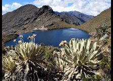 paramo-santurban El proyecto de oro Angostura – Colombia – Parte II