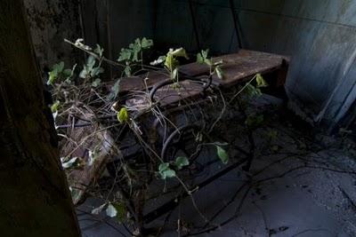 Riverside Hospital, North Brother island.