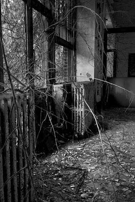 Riverside Hospital, North Brother island.