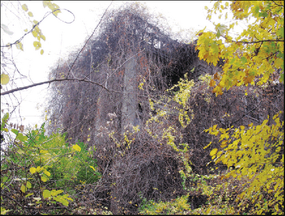 Riverside Hospital, North Brother island.