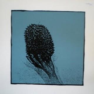 Neil / Richard / Simon / Stewart - Durian Durian (Forced Exposure,1992)