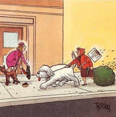 Confunde durante dos años un contenedor para desechos con el buzón del correo Confunde durante dos años un contenedor para desechos con el buzón del correo