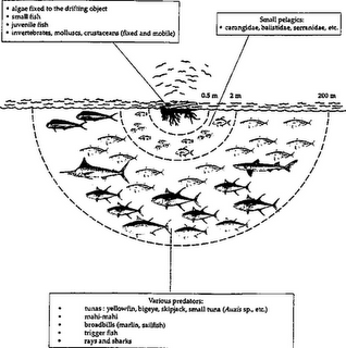 Náufragos Náufragos