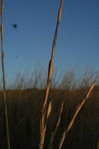 Imagen 304 Me gusta/No me gusta, en agosto